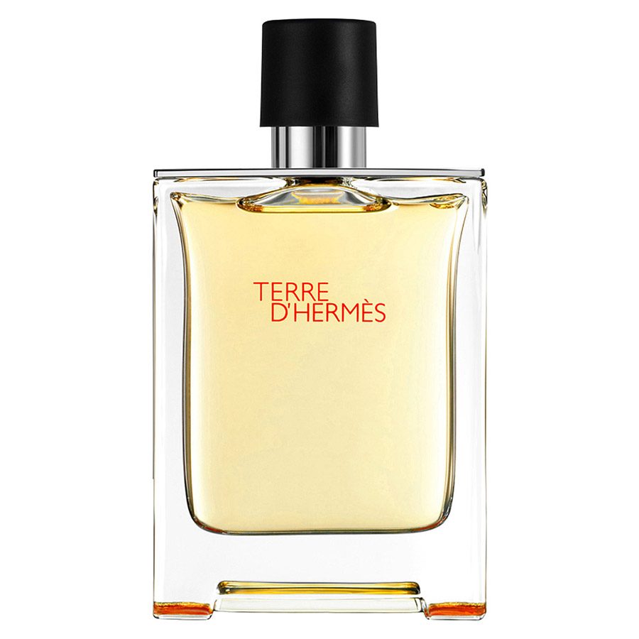 Hermes Terre D'Hermes EDT 100 ml